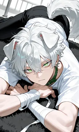 Profile image of 하쿠아
