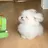 ㅁㅈㅎ