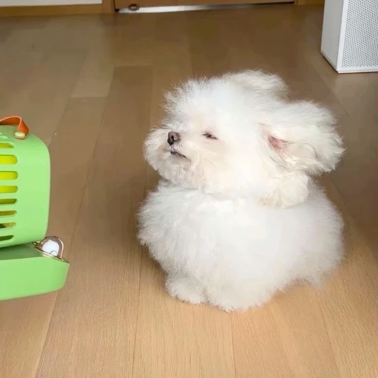 ㅁㅈㅎ