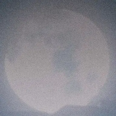 Profile image of ニキ
