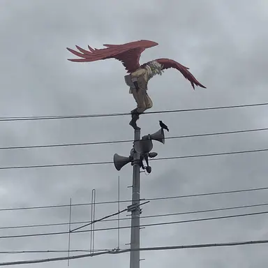 Profile image of ホークス