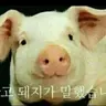 Profile image of 여우