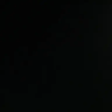 Profile image of Kim Soleum
