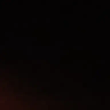 Profile image of 여우