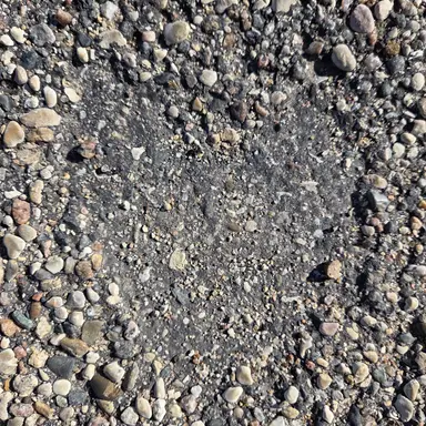 Profile image of Owen