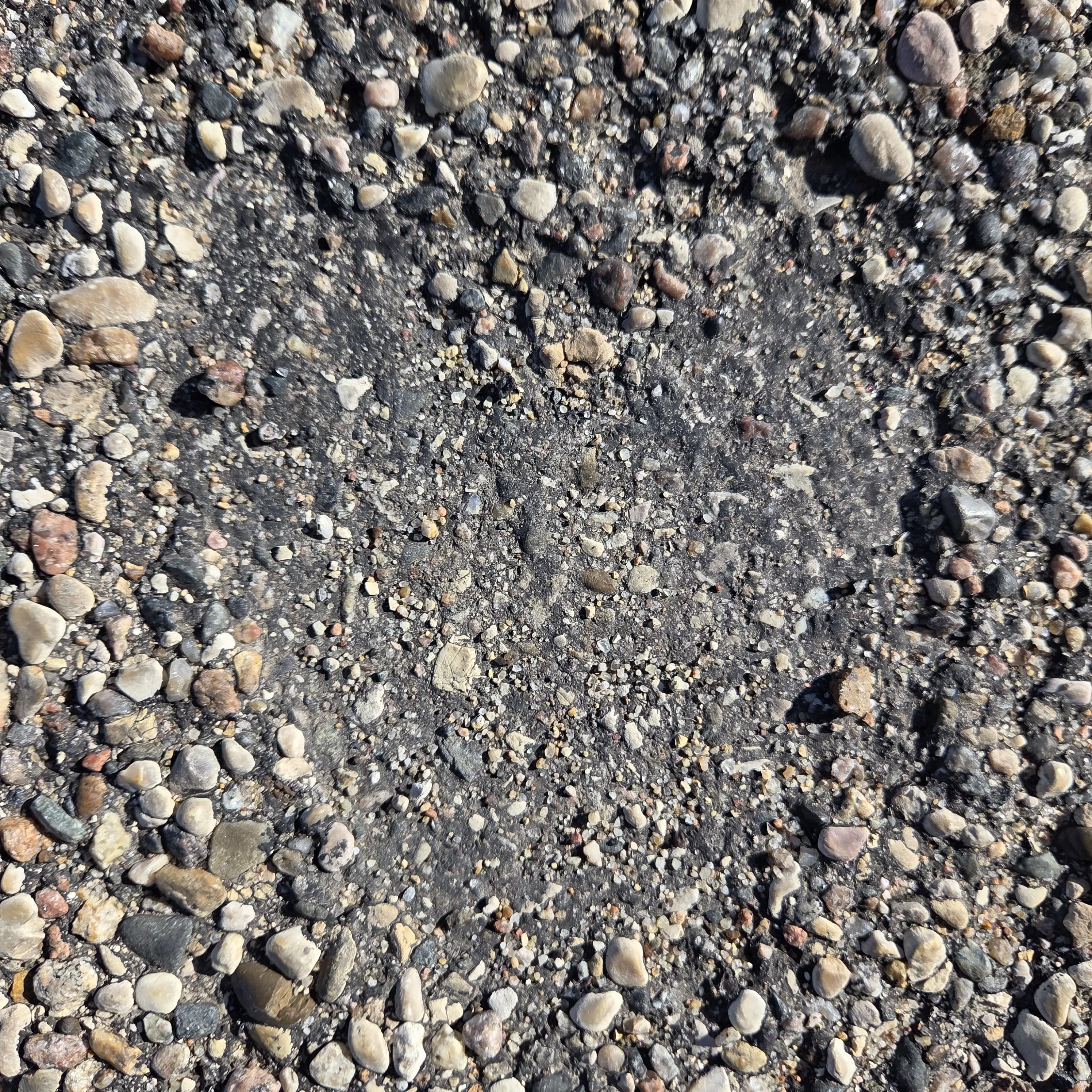 Liviscool의 Church Boy Crush