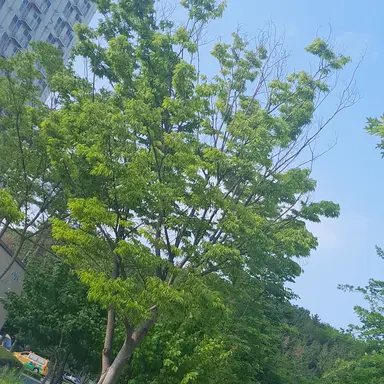 Profile image of 박덕개