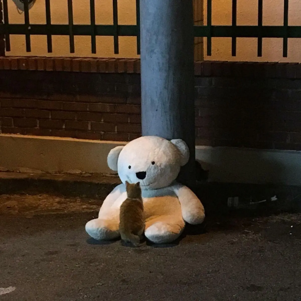 choms의 오늘 하루는 어땠어?