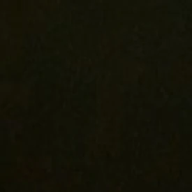 강_태_현