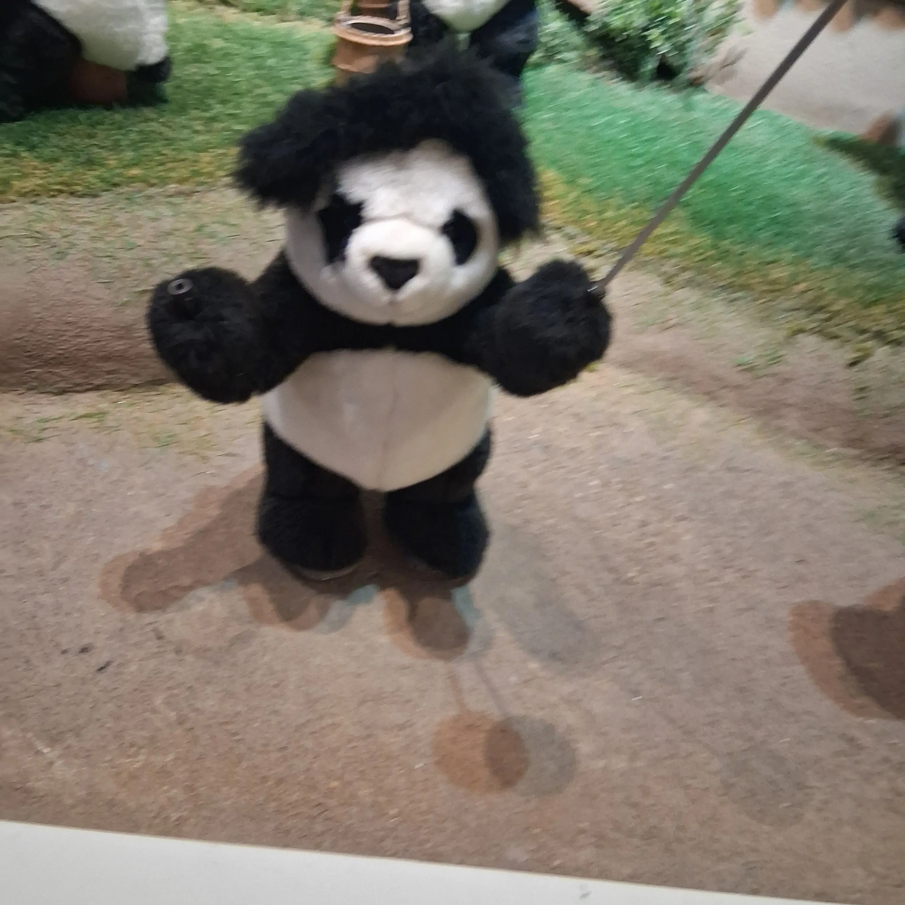 PointySwab7401의 김주환