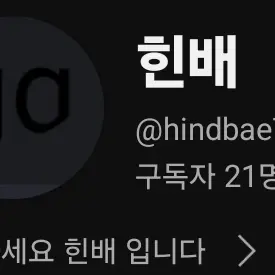23344의 힌배