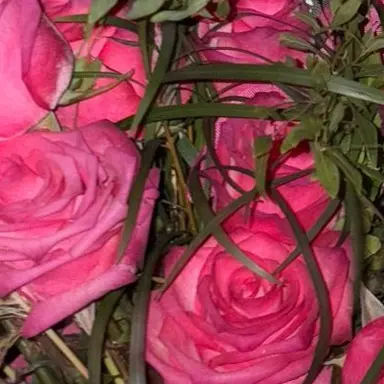 Profile image of 김민정