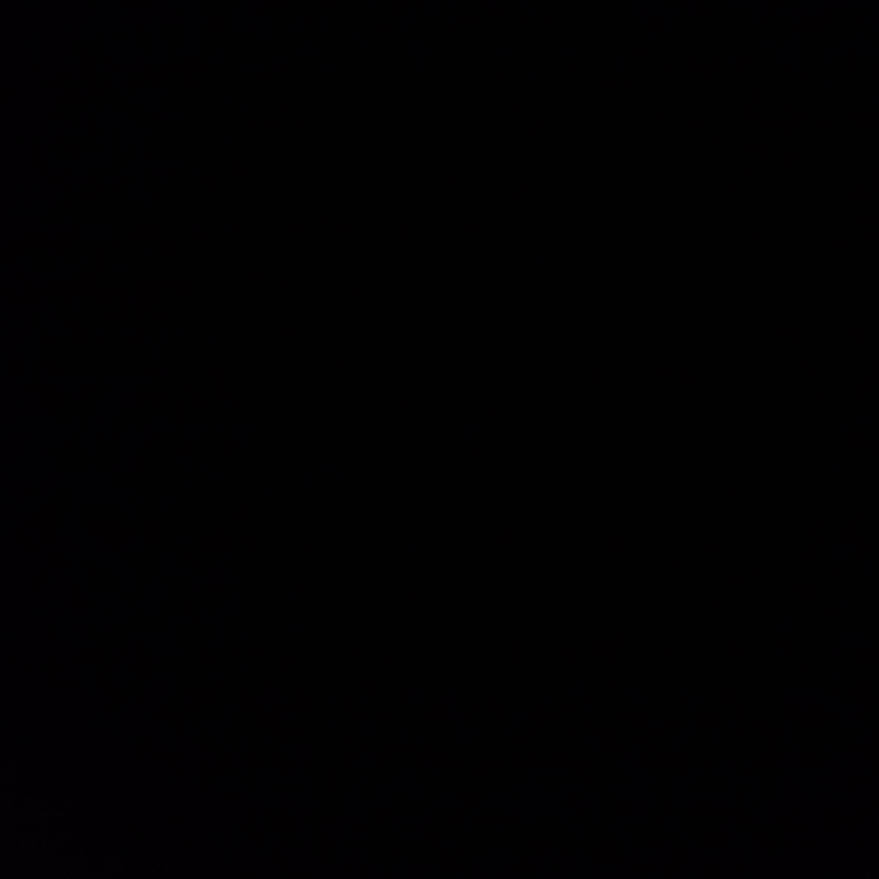 범규