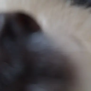 Profile image of 이배일-유저