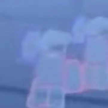 Profile image of 저주화된 무사