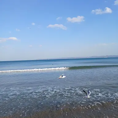 Profile image of 식인종 부족