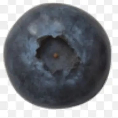 Profile image of 블루베리