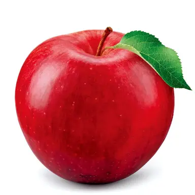 Profile image of 사과