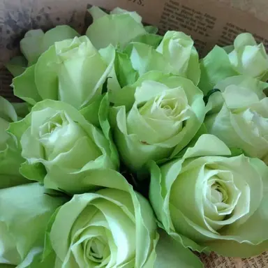 Profile image of 나루미 겐