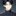 홍성준