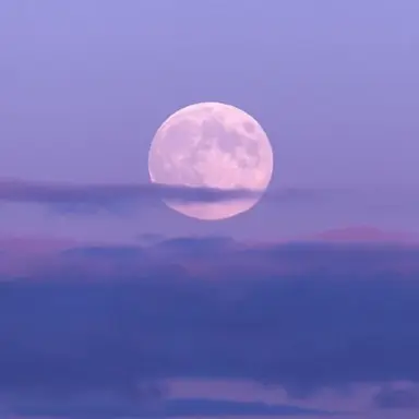 Profile image of 수현