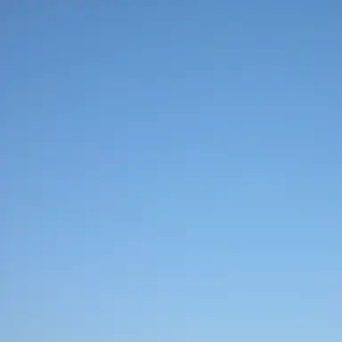 Profile image of 廉