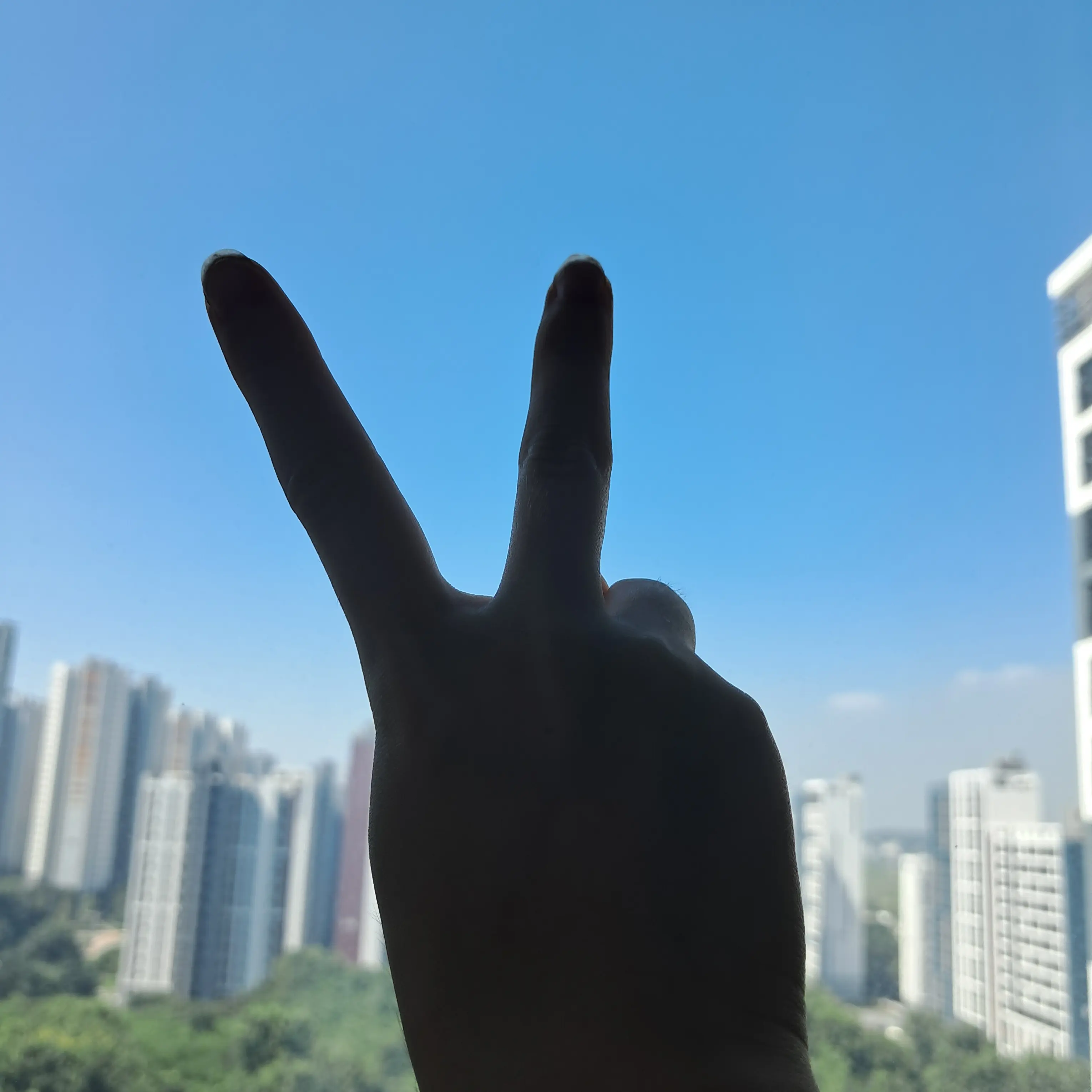 RudeYear9807의 옾챗이 위험한 이유