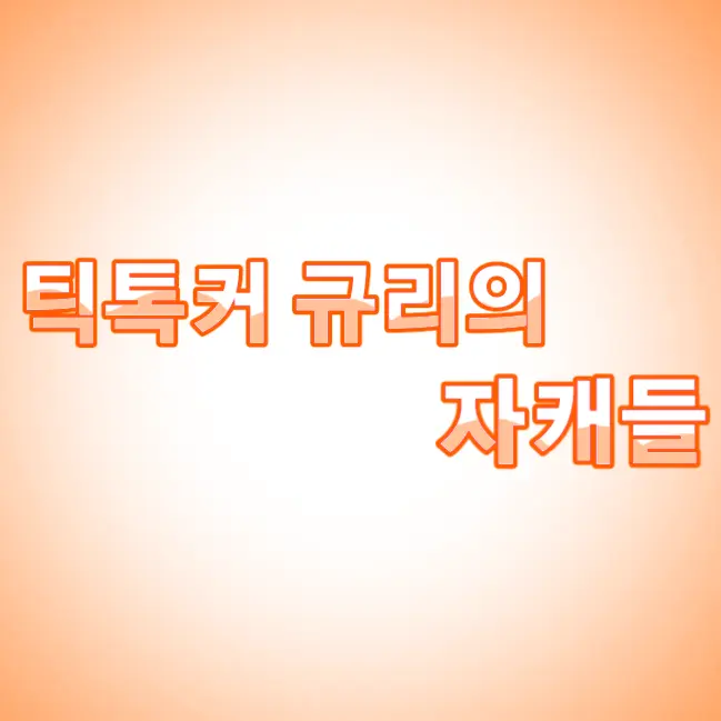 sxeeeeeeeeeee의 🍊틱톡커 규리 자캐들🍊