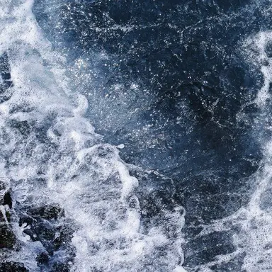 Profile image of Adrian