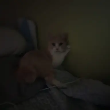 Profile image of 유지민