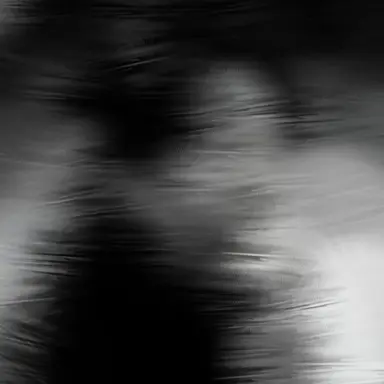 Profile image of 한지성