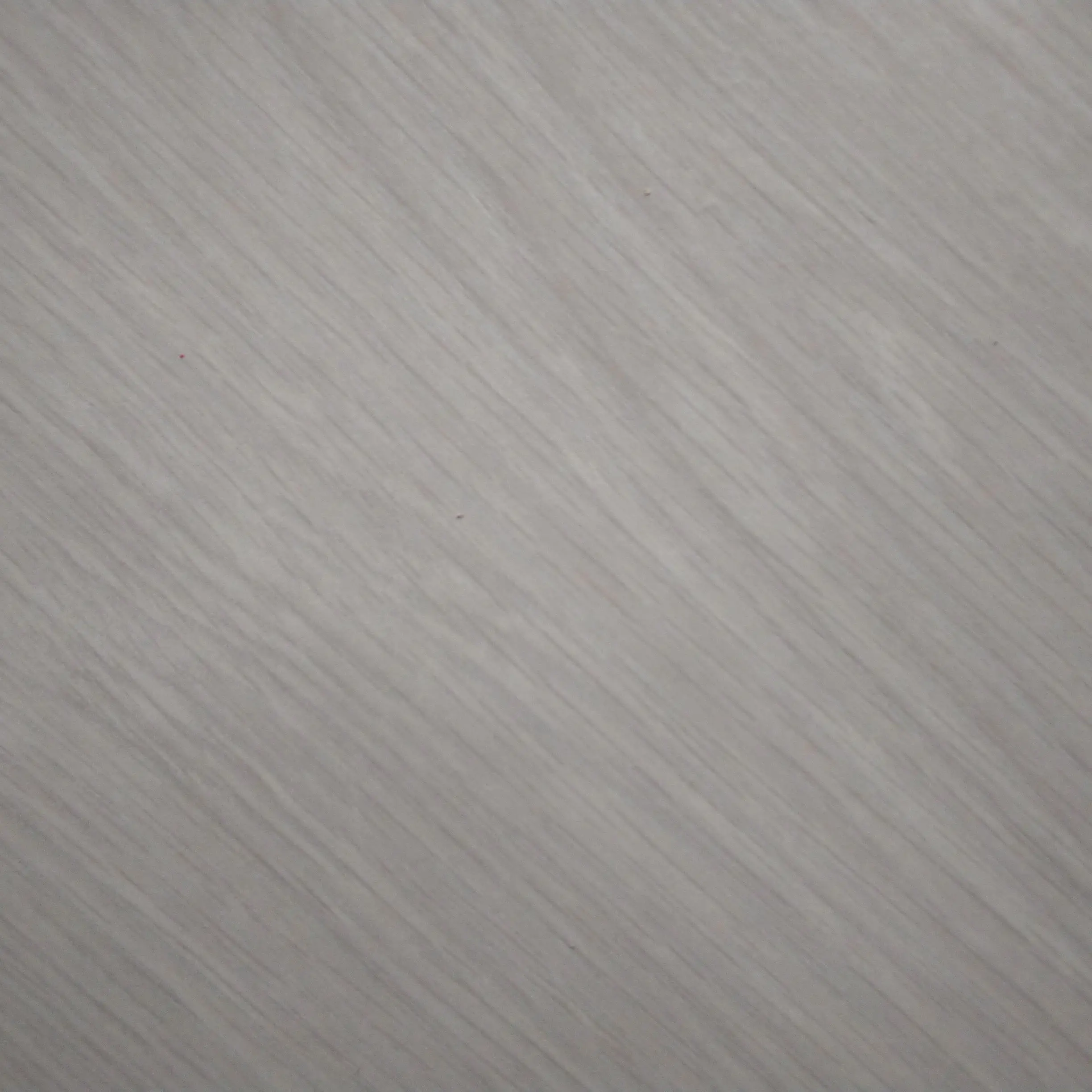 MatteTabla5976의 シュントの妹？!