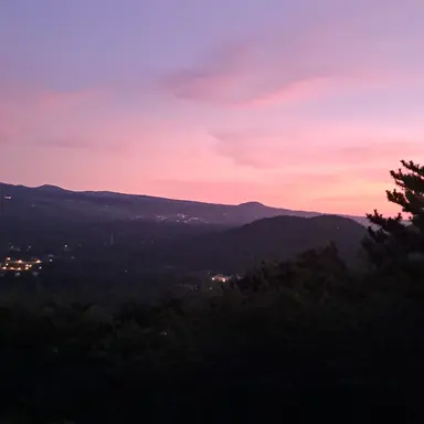 Profile image of 랄라라