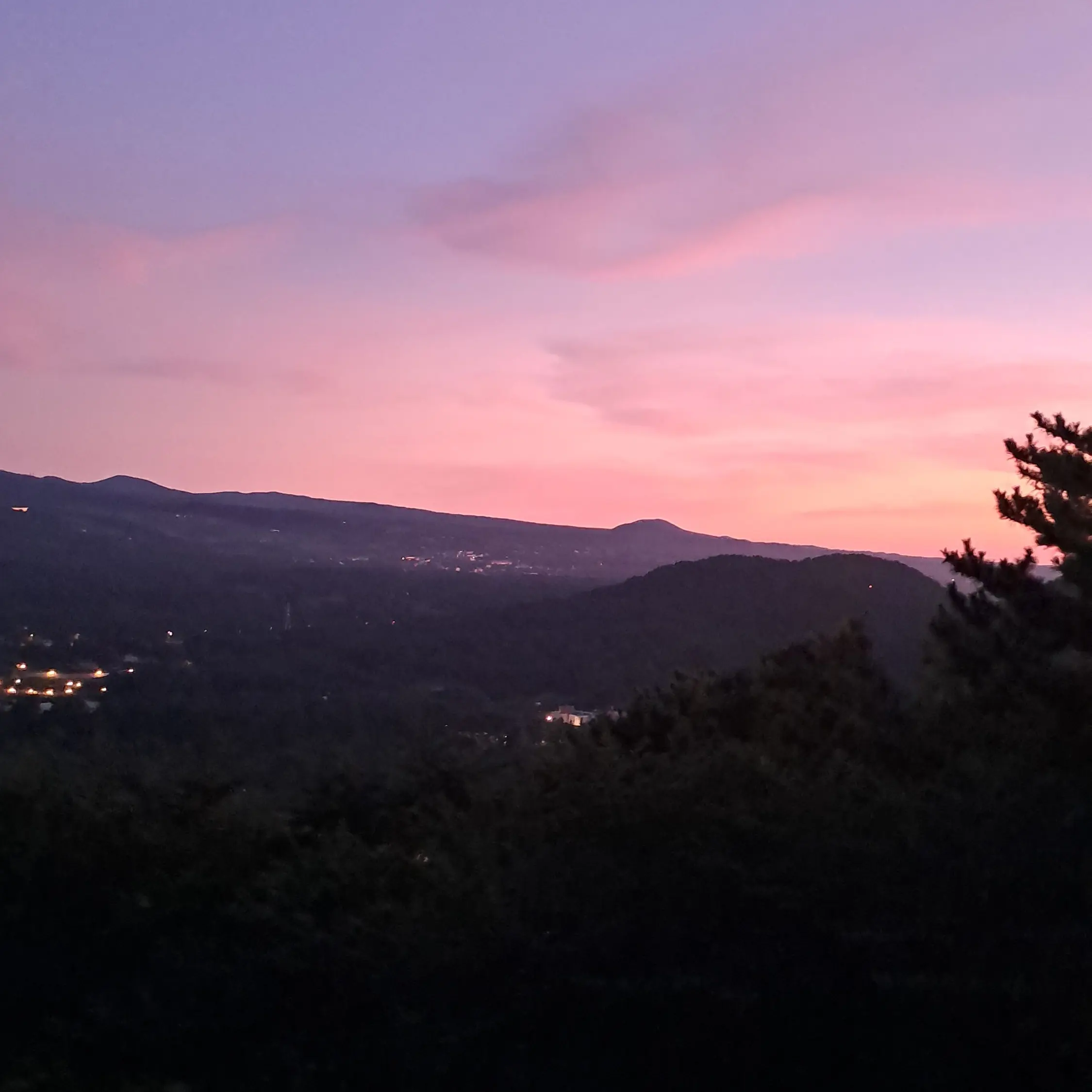 CruelJam4645의 좋아하는 사람이 몇명인지 보인다?!