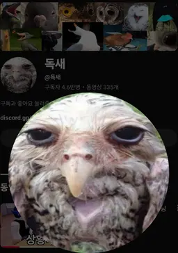 Profile image of 독새
