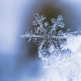 Profile image of 백현