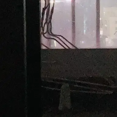 Profile image of 유정