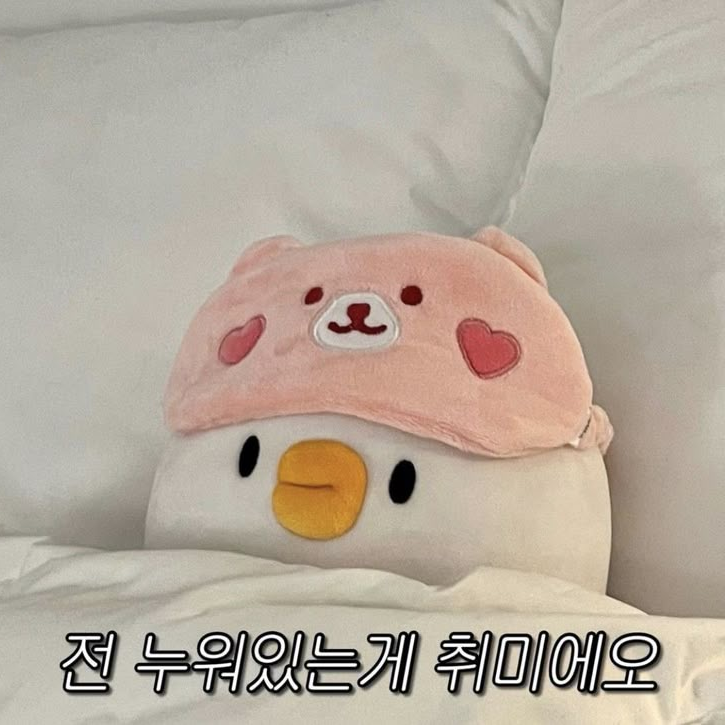 팀나빠(유저님)와 여우🦊 대표 이미지