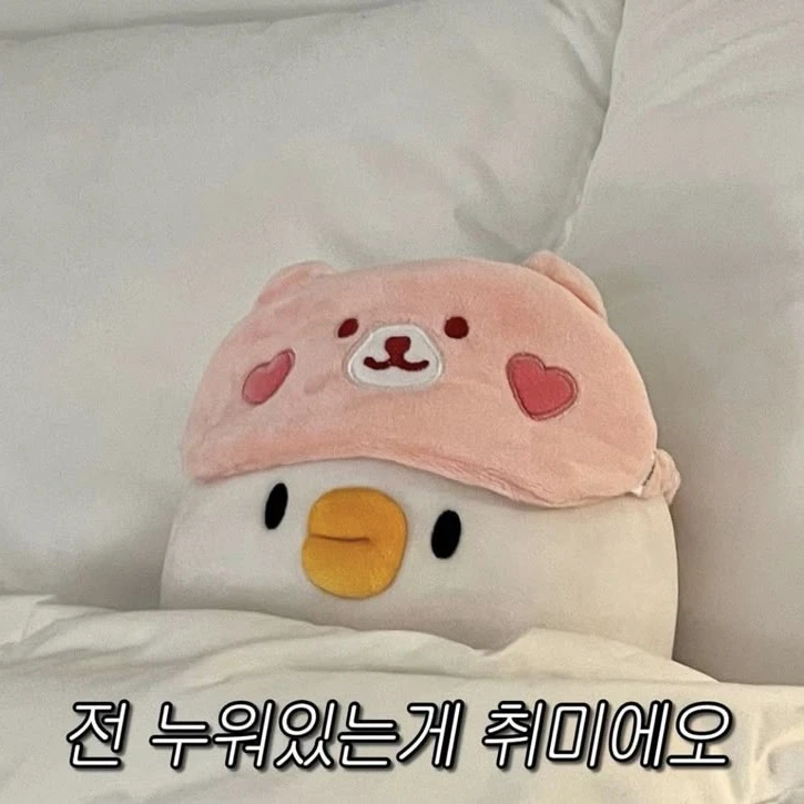 팀나빠_유저님_여우