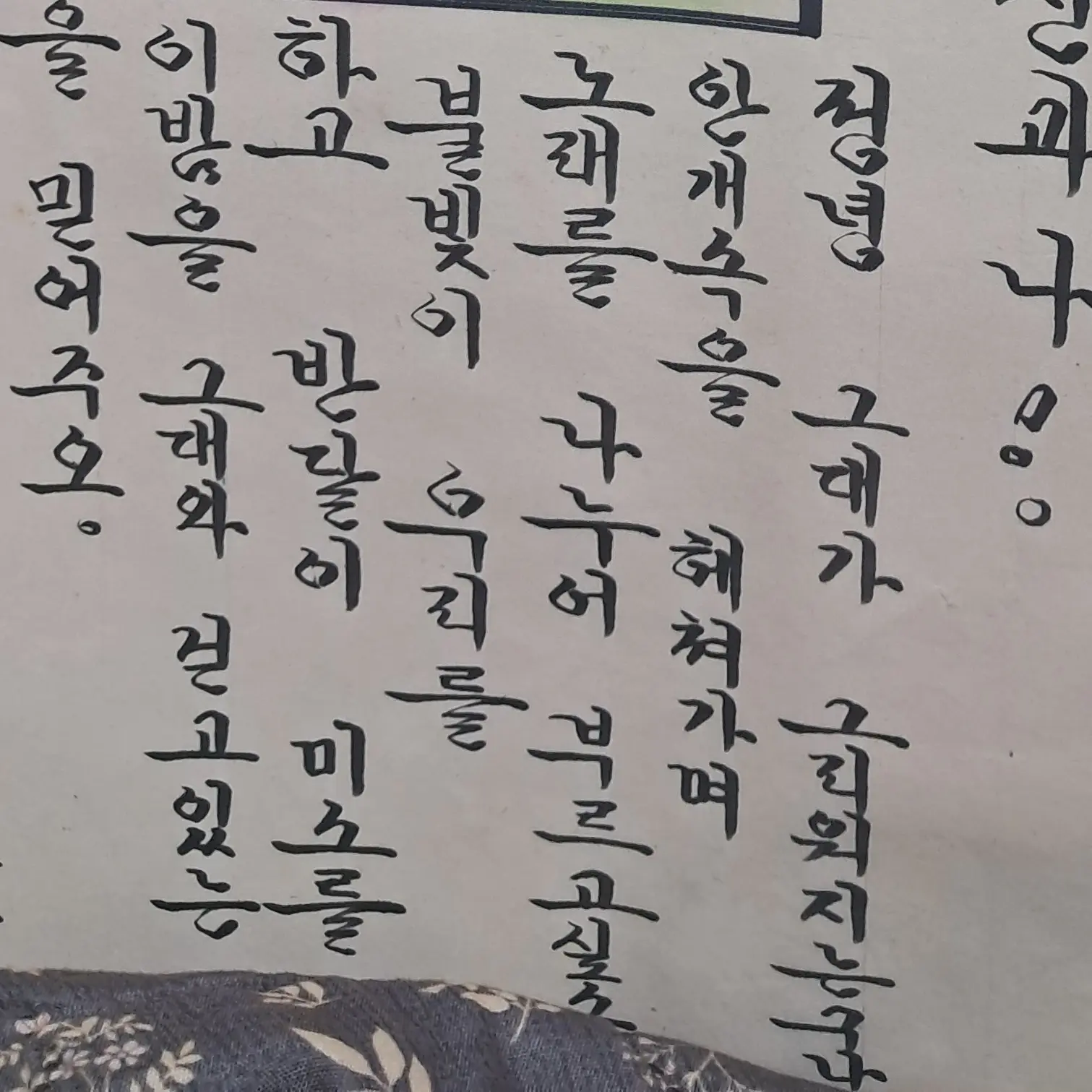 PlushySpit9938의 최도련님