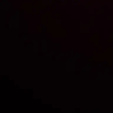 Profile image of 김동현