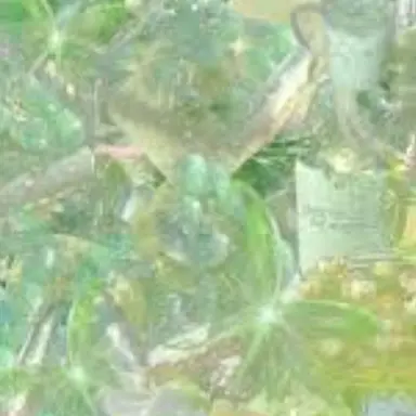 Profile image of 정공룡