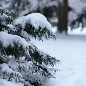 Profile image of 혜안져스