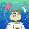 Profile image of Sandy Cheeks