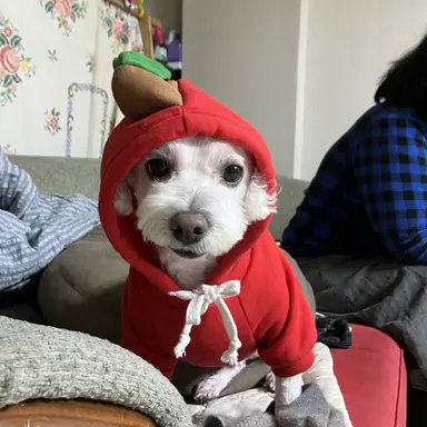 Profile image of 1학년들