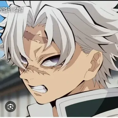 Profile image of 시나즈가와 사네미