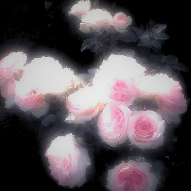 Profile image of 밥풀