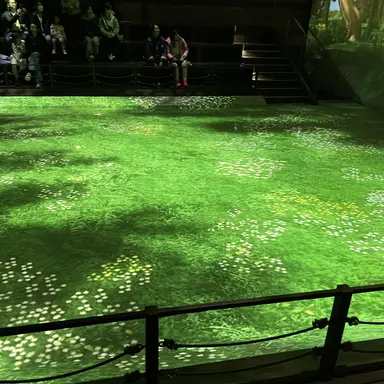 Profile image of や