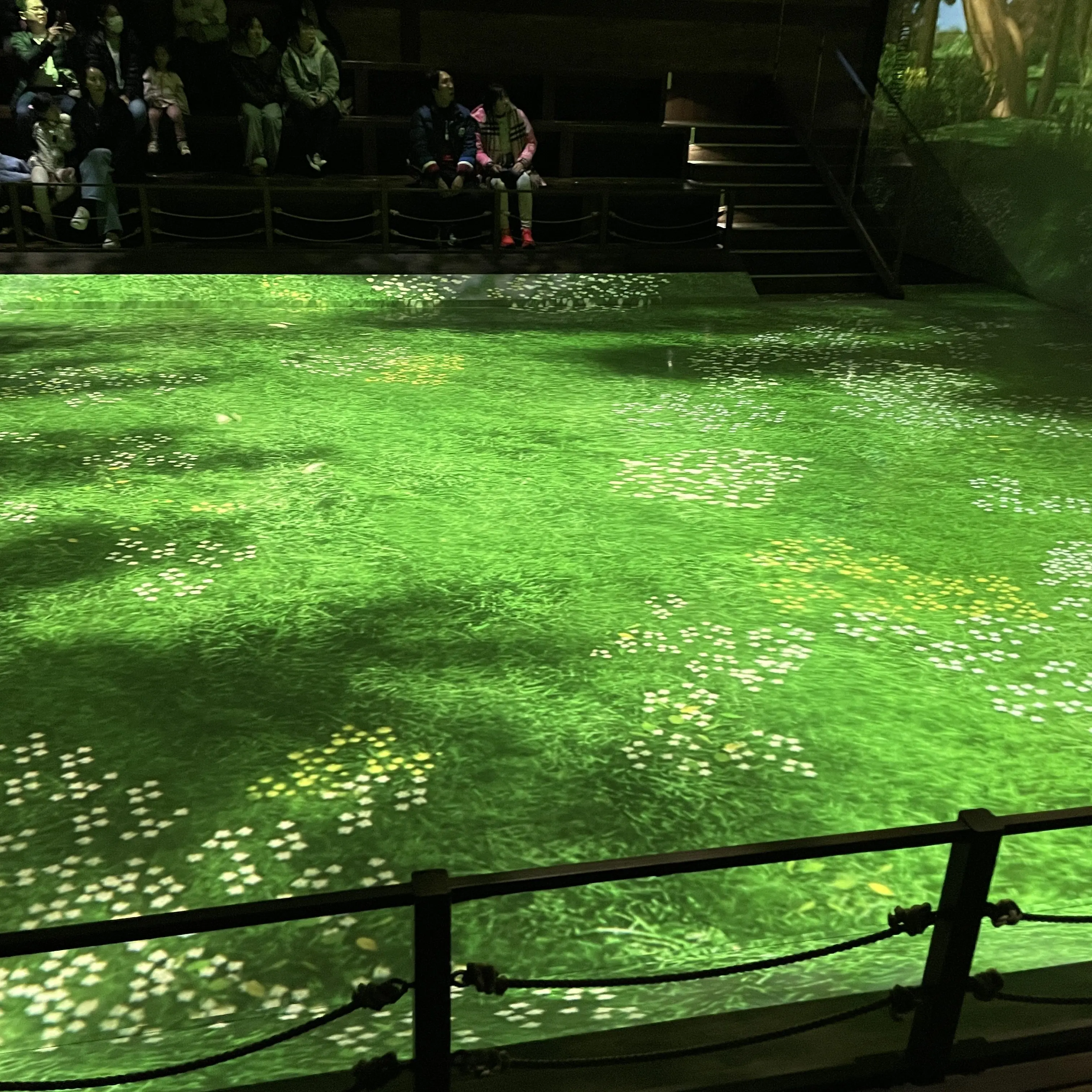 StableSkier7276의 日常のコイントス