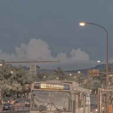 Profile image of 여우